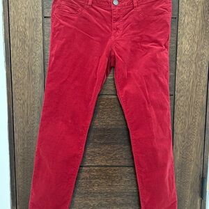 CAbi red pants